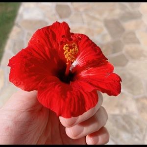 Meet your Posher, Mee kyung